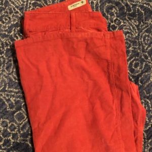 Anthropologie pant new without tag
